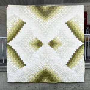 Bargello Supernova class